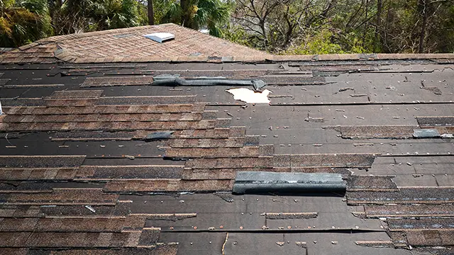 damaged Georgia shingle roof
